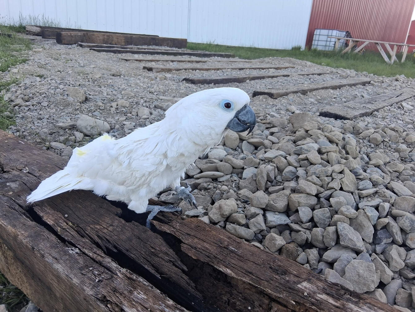 :)